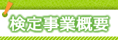 検定事業概要